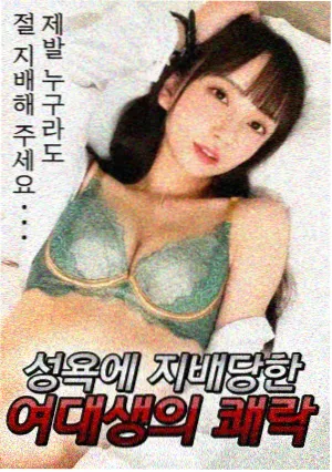 周更剧集排播趋势